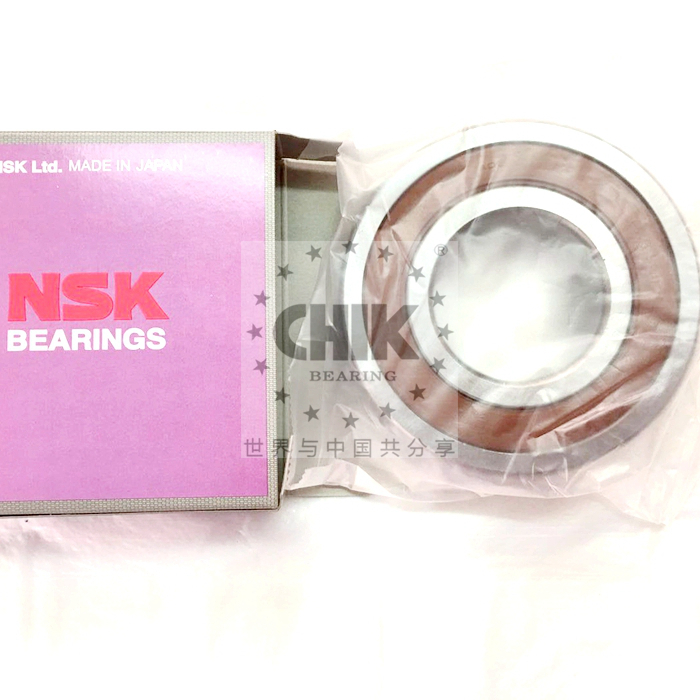 NSK 6313DDU Pump Bearing GOST Standard Deep Groove Ball Bearing